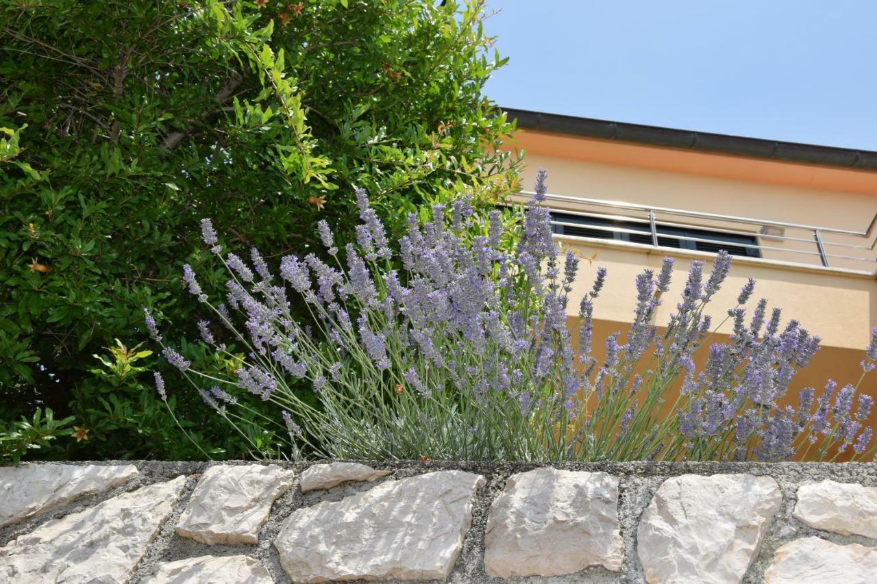 Charming Villa Rab Ραμπ Εξωτερικό φωτογραφία