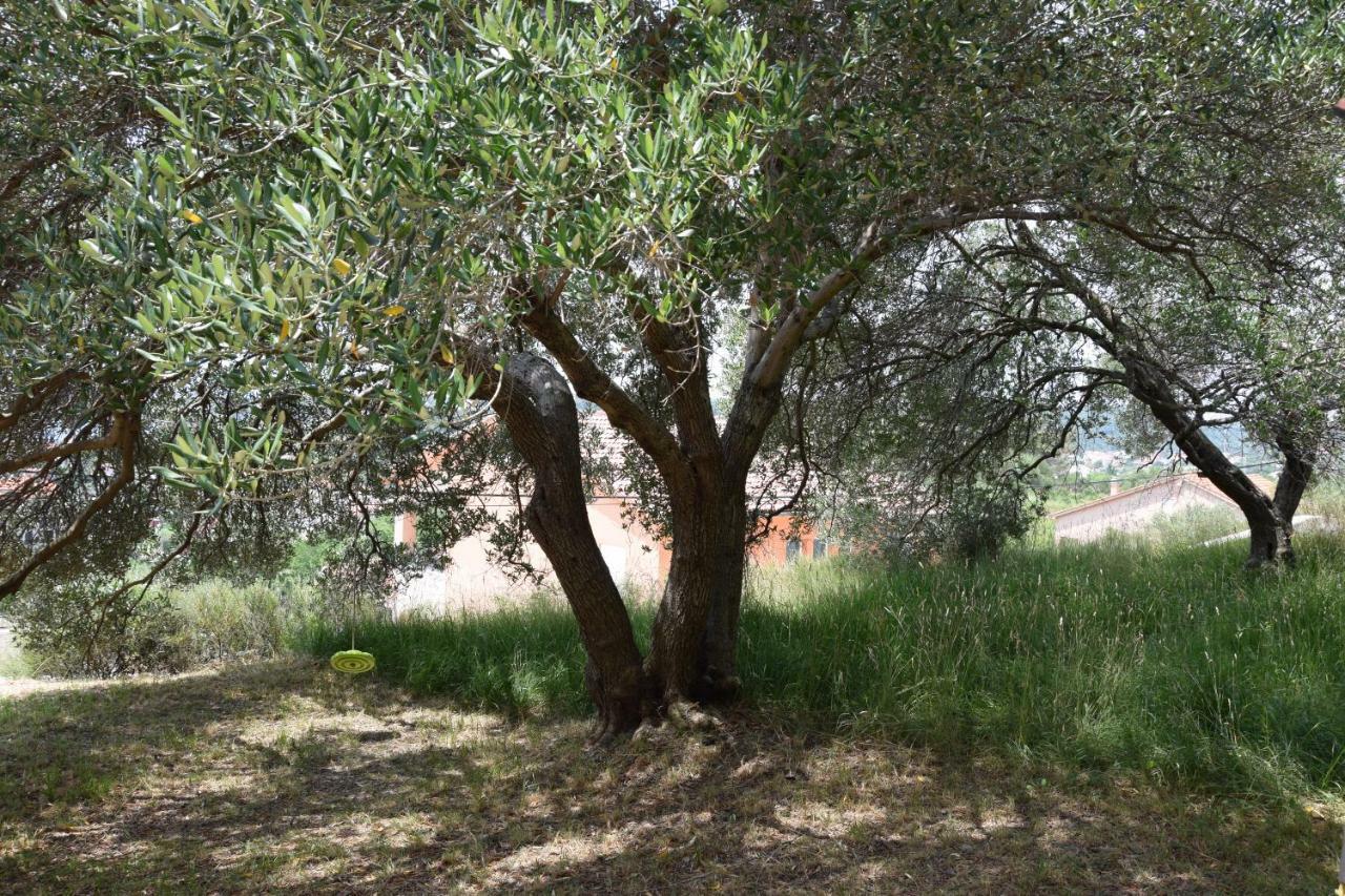 Charming Villa Rab Ραμπ Εξωτερικό φωτογραφία