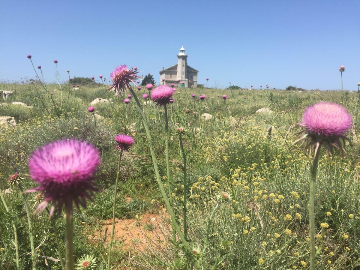 Charming Villa Rab Ραμπ Εξωτερικό φωτογραφία